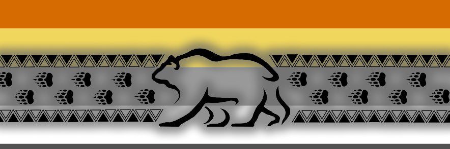 brasbear's profile banner image