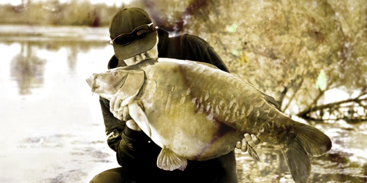 specimen carp baits banner