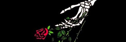 HollyPrimus12's profile banner image