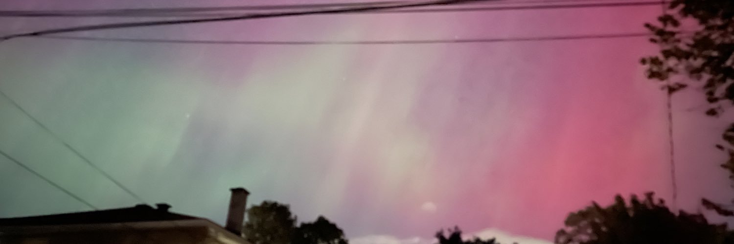 mllekaryn's profile banner image