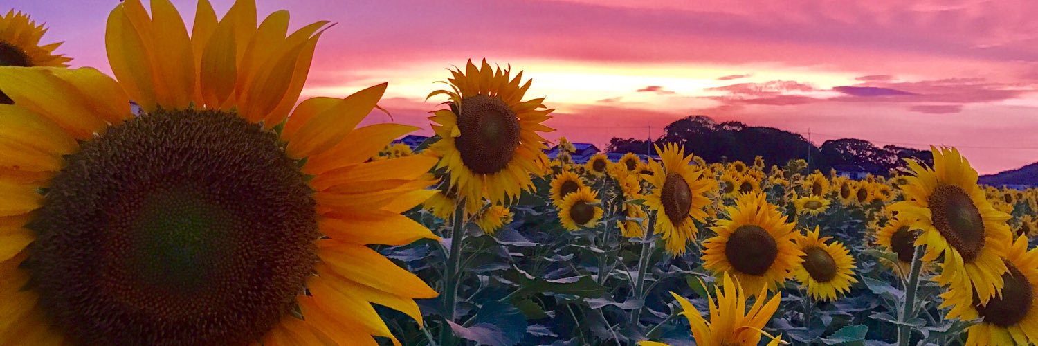 BImomoJUNE's profile banner image