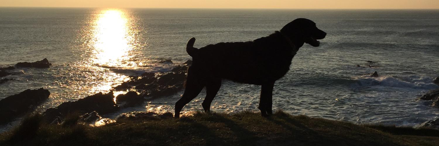 SparkyBriz's profile banner image