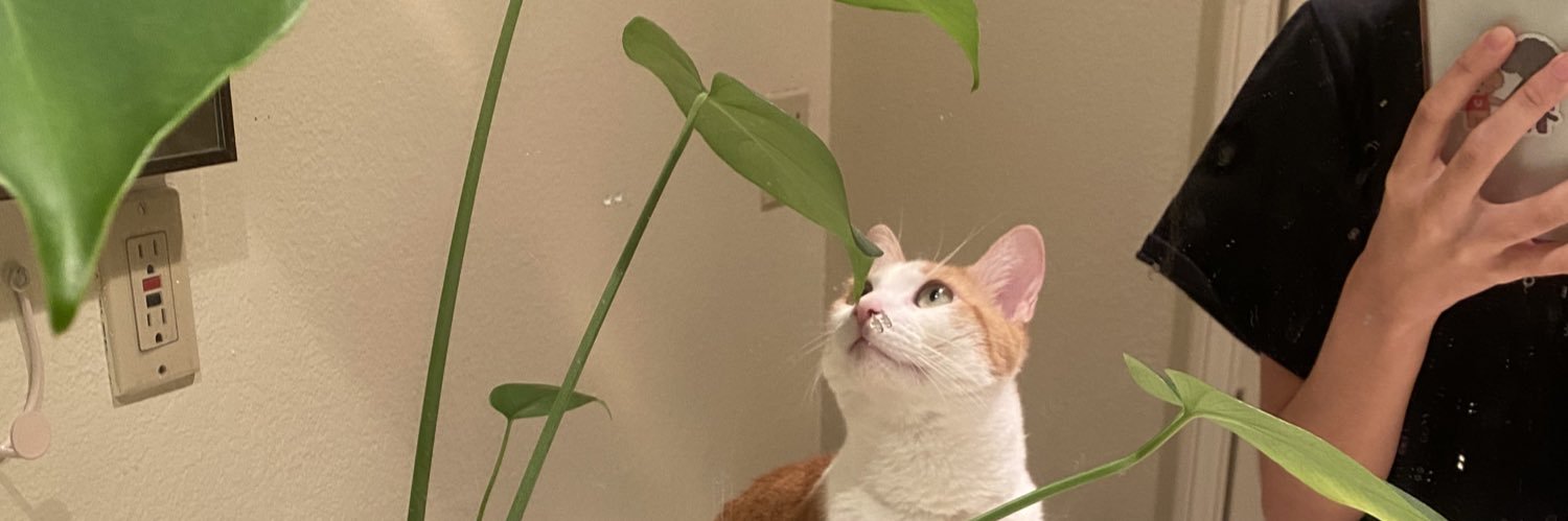 bakapuru's profile banner image