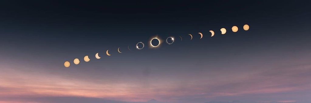 MsVanValen's profile banner image