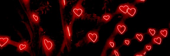 kimmie 𐚁⊹₊ ⋆ banner