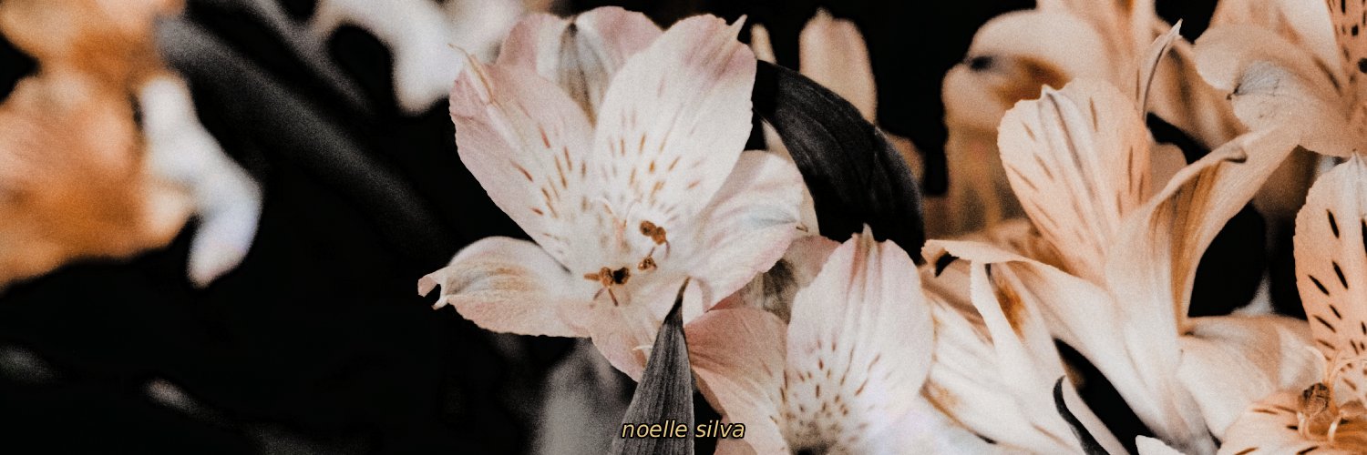 jnsomil's profile banner image