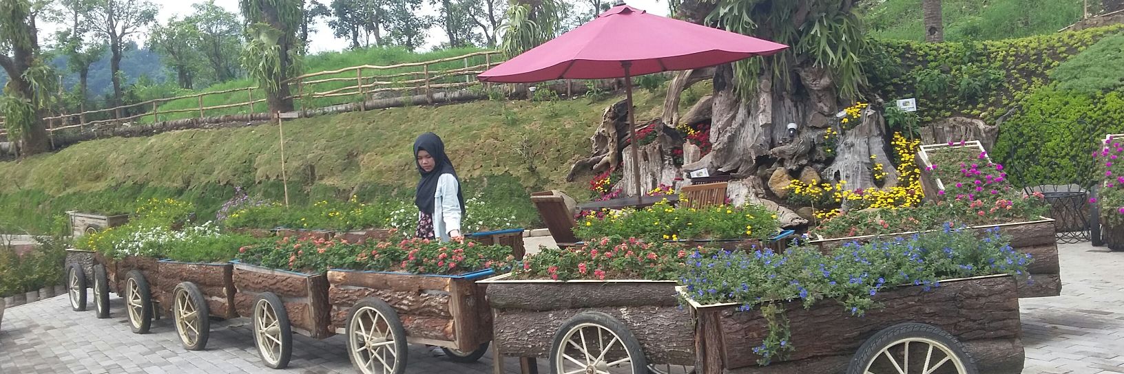 willyanggra's profile banner image