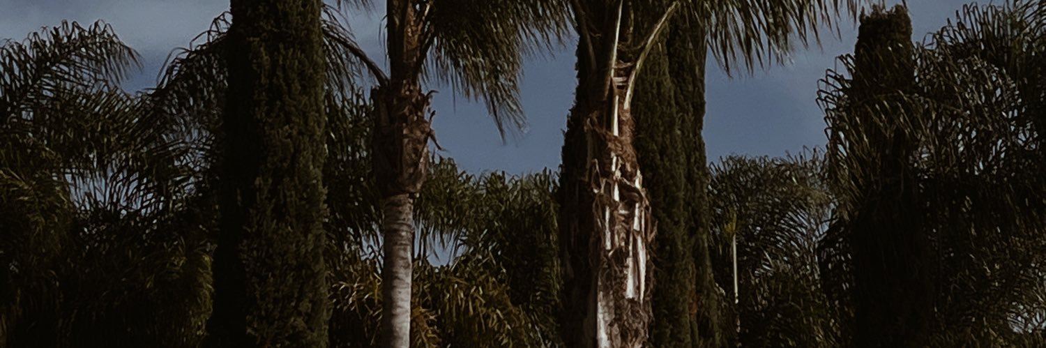 dbabypao's profile banner image