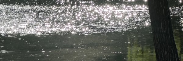 23jpeg Profile Banner