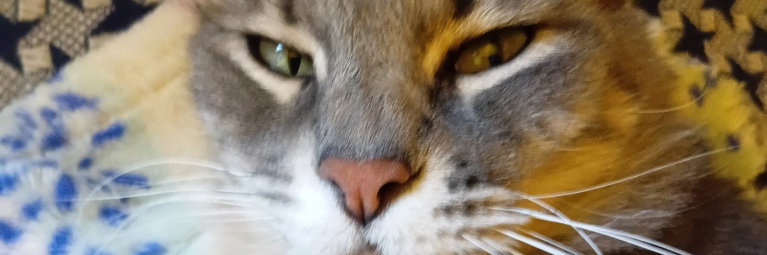 Rocisus_Rom's profile banner image