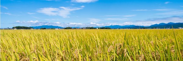 zennoh_niigata Profile Banner