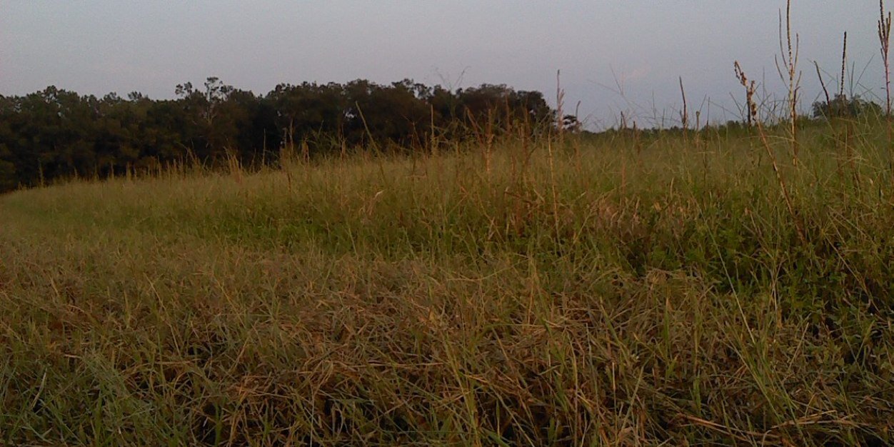 ditchjumper13's profile banner image