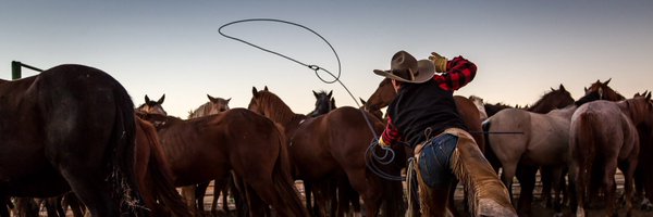 JasonBWhitman Profile Banner