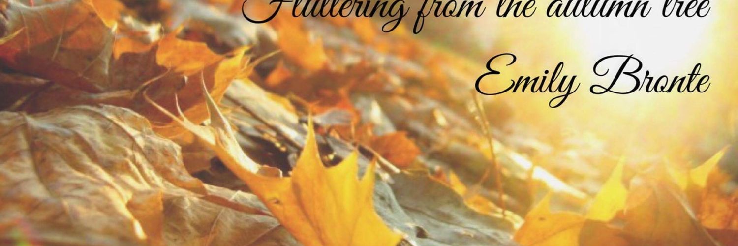 Hannah Shaw banner