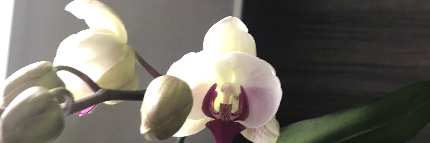 ひろしげ@商人放浪記s214の残渣 banner