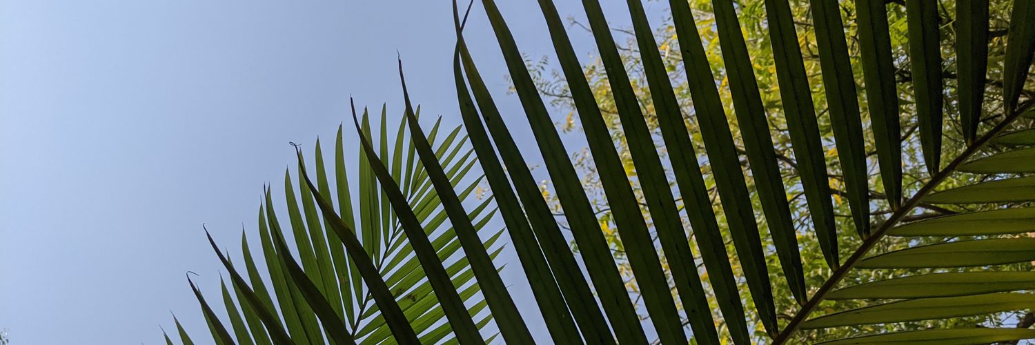 shrutiawake's profile banner image