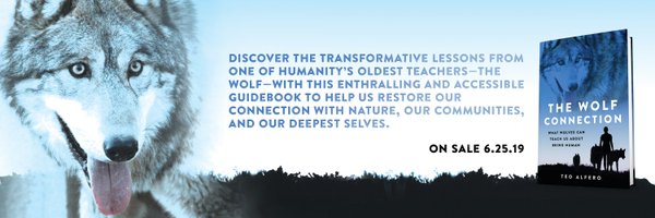 wolfconnection Profile Banner