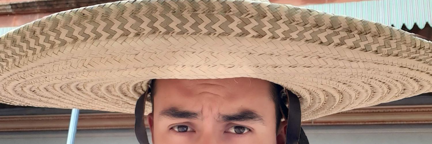 haviulloa's profile banner image