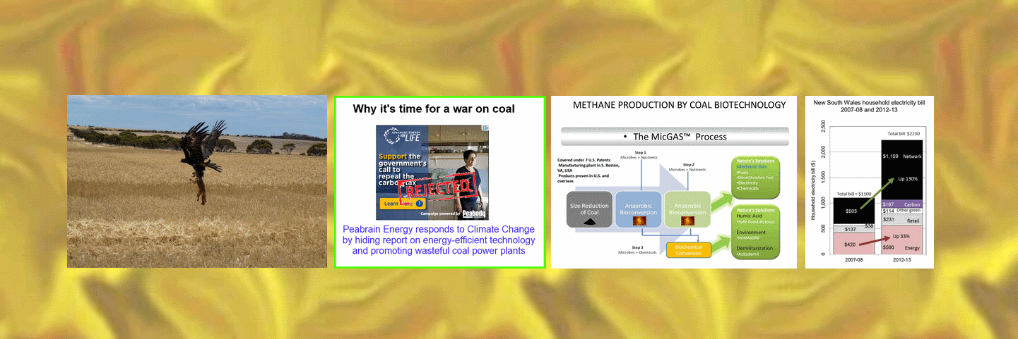 Askgerbil Now banner