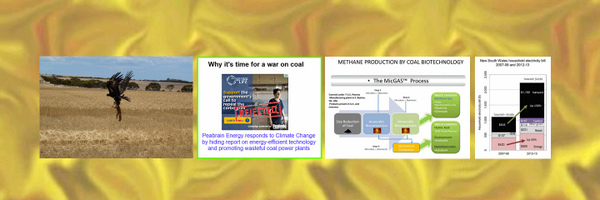 Askgerbil Profile Banner