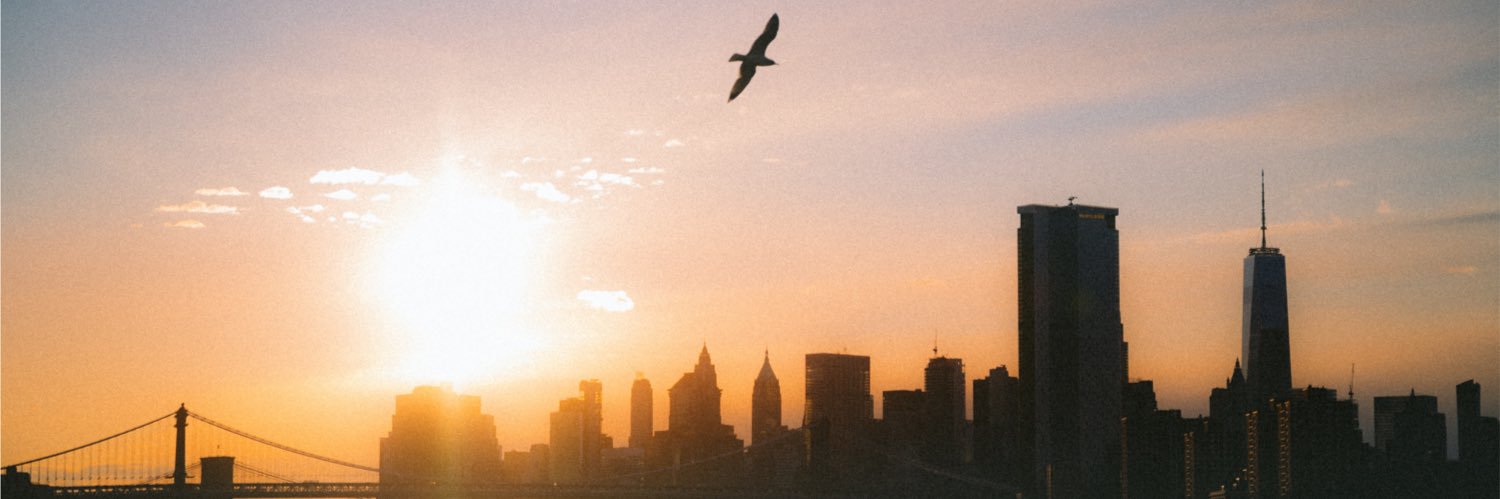 Julien Rocheblave banner