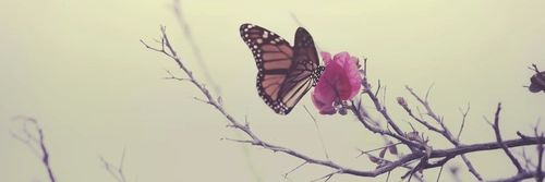 Ruthi_GG's profile banner image