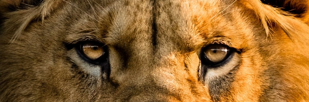 mtyagi08's profile banner image