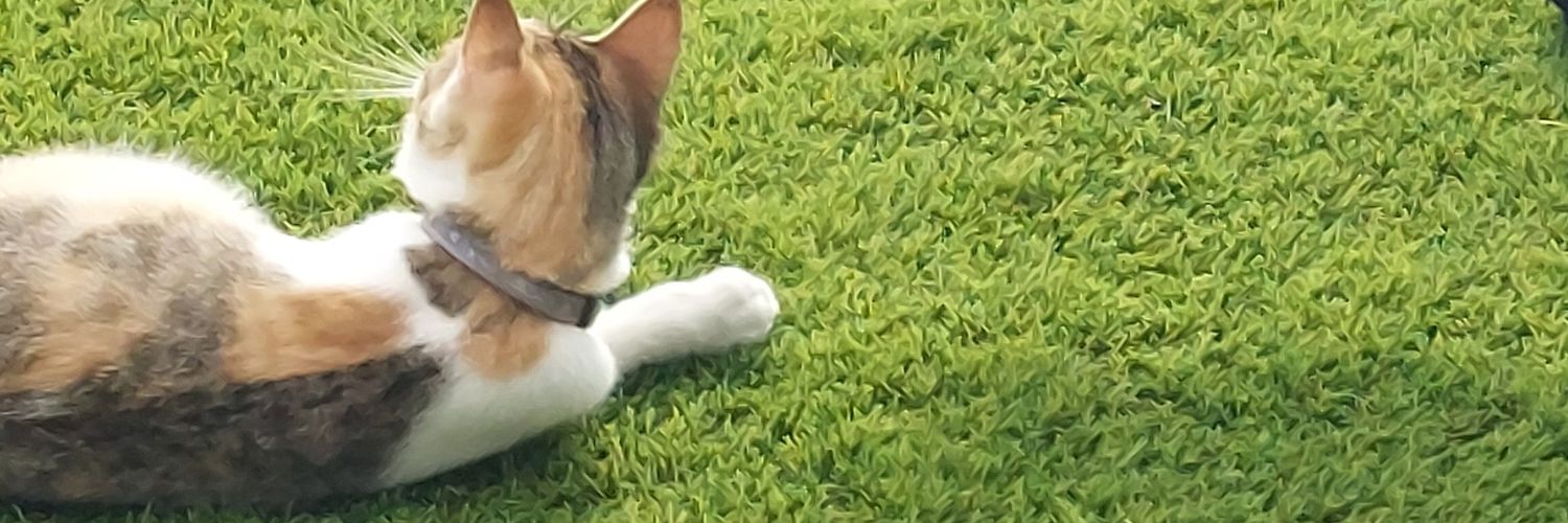 EsSolSan's profile banner image