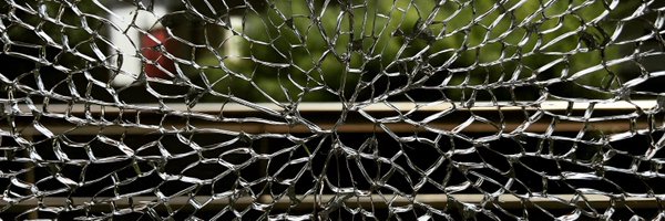 schwendinger Profile Banner