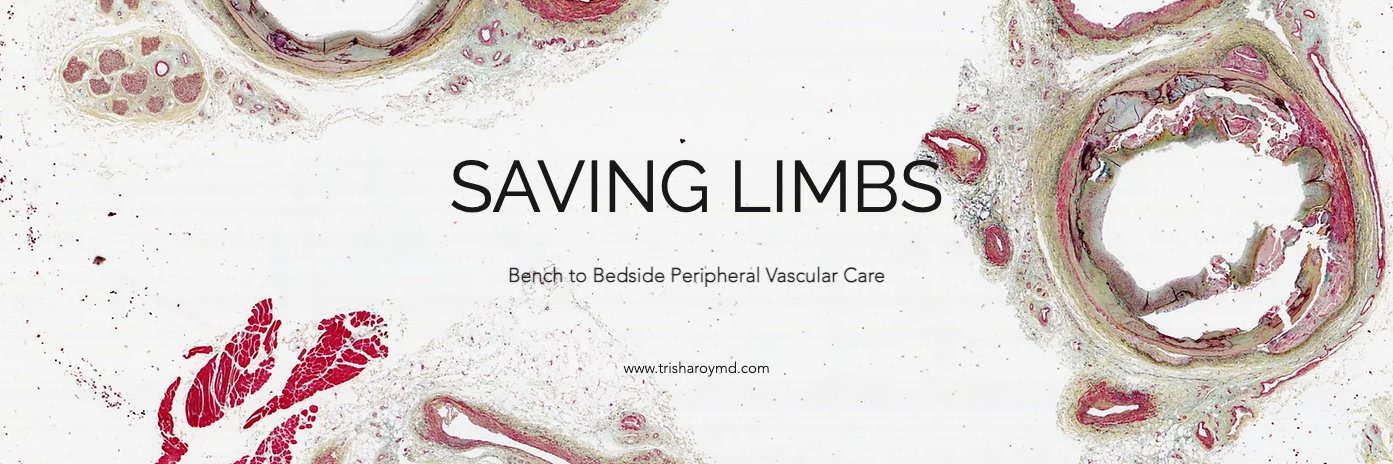 Trisha L. Roy MD PhD FACS banner