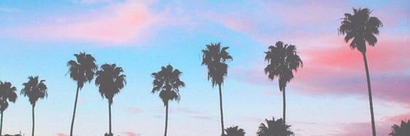 michellehsky's profile banner image