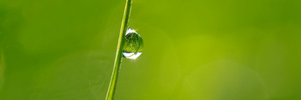 Find_Simplicity Profile Banner