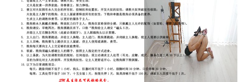 温州橙子 banner