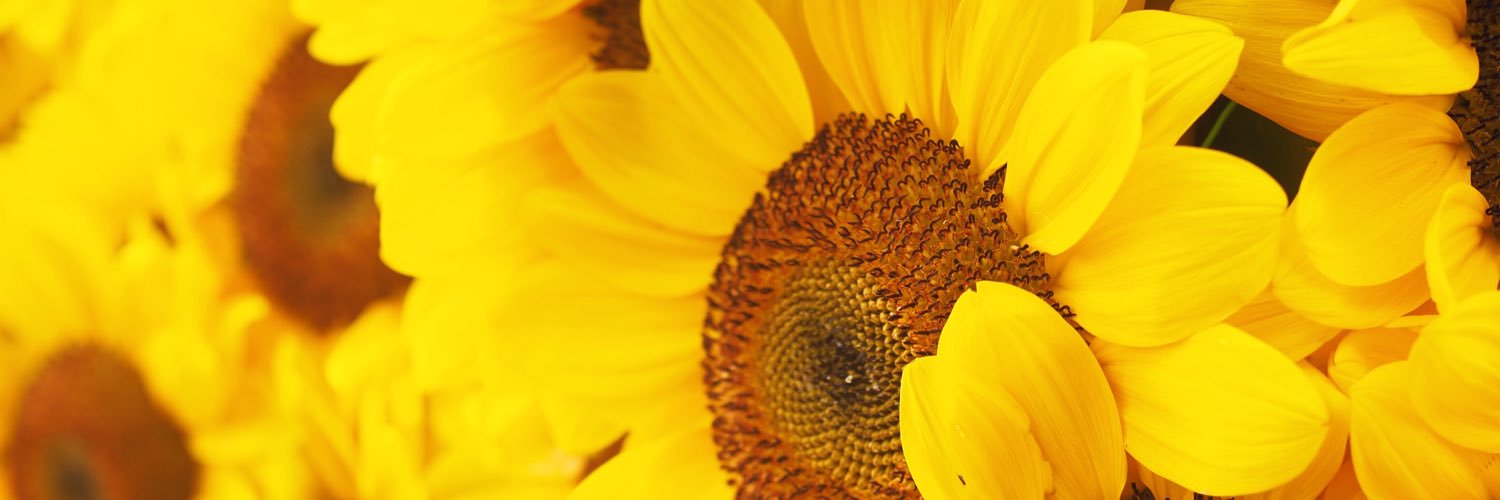 rii_melody's profile banner image