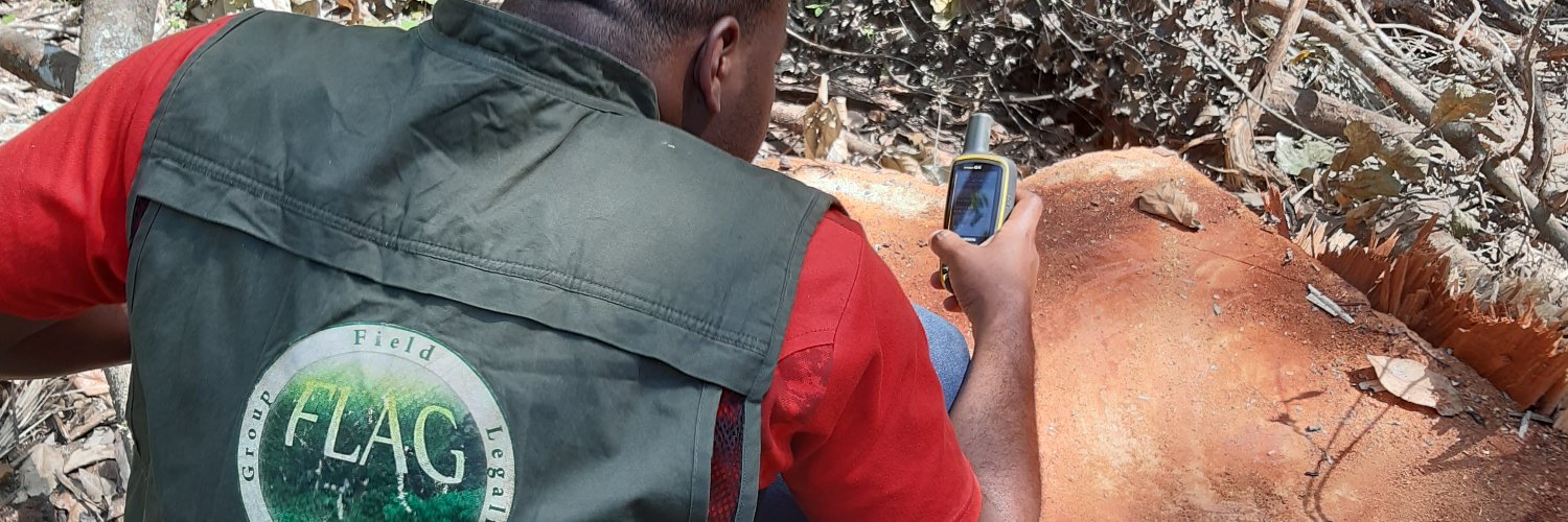 FLAG Cameroon banner