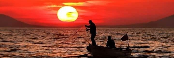 TaylanZiver's profile banner image