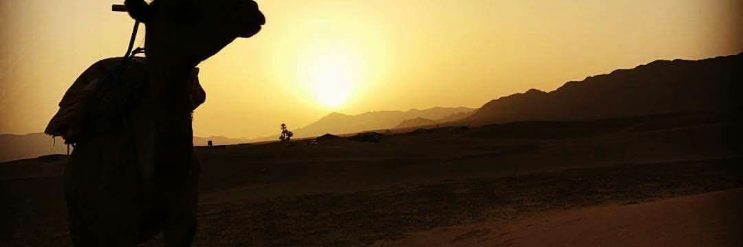 dailyMtours's profile banner image