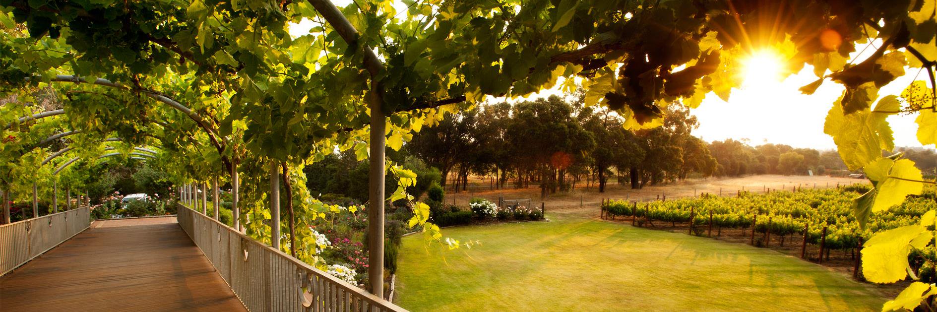 Capel Vale Winery banner