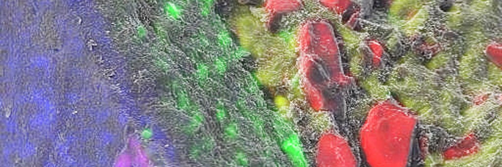 sem_dmu's profile banner image