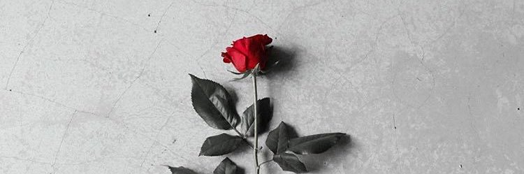 s_3338_f's profile banner image