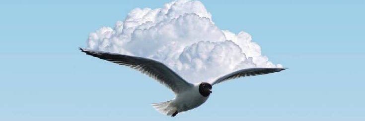 HudaHud2004's profile banner image