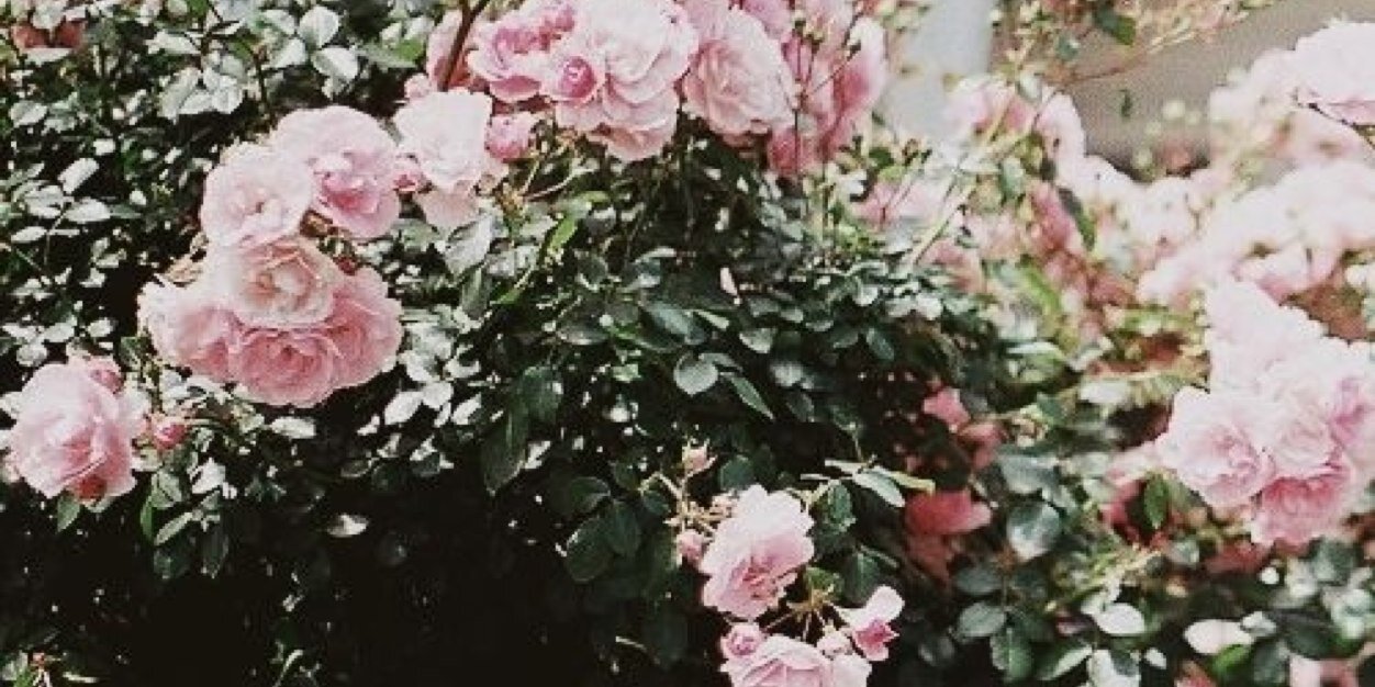 TumblrOfficialx's profile banner image