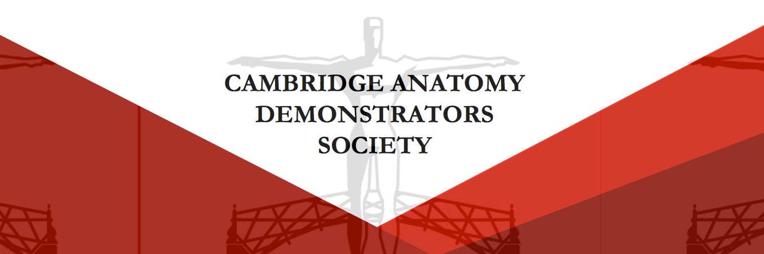 Cambridge Anatomy Profile Banner
