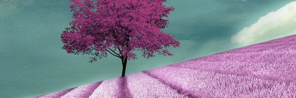 wrappedupnu Profile Banner