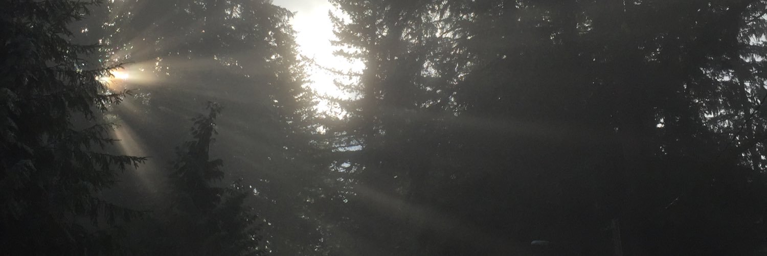 dchern21's profile banner image