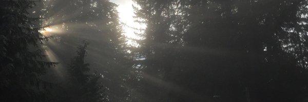 dchern21 Profile Banner