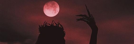 aN_azuoS's profile banner image