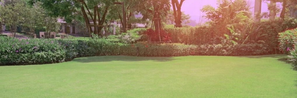 RottieUnleashed's profile banner image