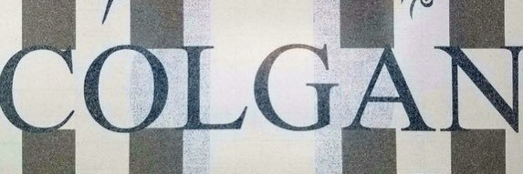 Colgan CFPA Student Council banner