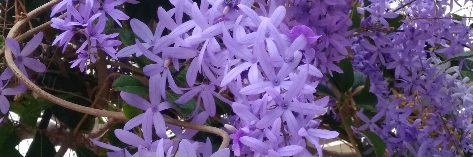 Anamarilopez26's profile banner image